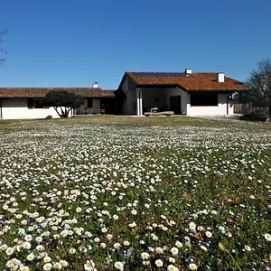 Al Montegallo Sarego